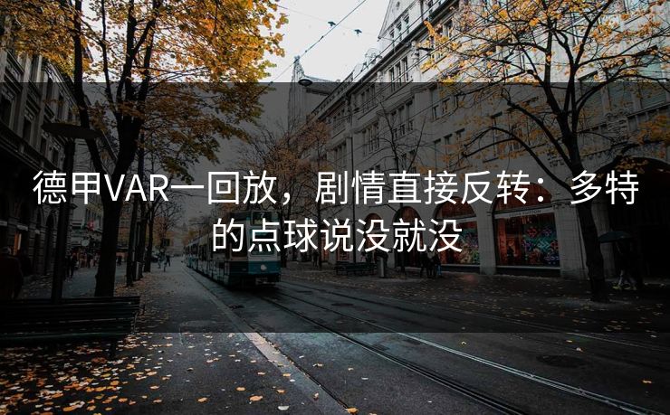德甲VAR一回放，剧情直接反转：多特的点球说没就没