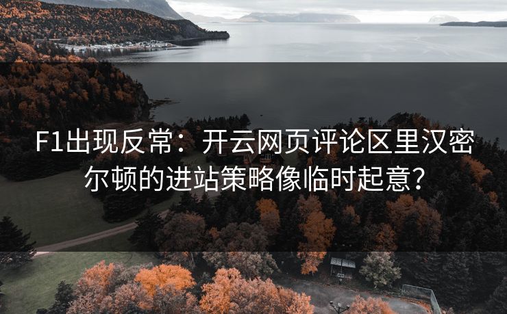 F1出现反常：开云网页评论区里汉密尔顿的进站策略像临时起意？