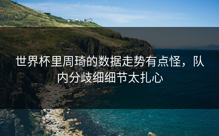 世界杯里周琦的数据走势有点怪，队内分歧细细节太扎心